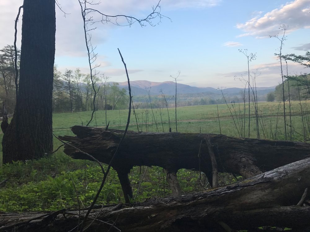cades cove field in the great smoky mountains national park