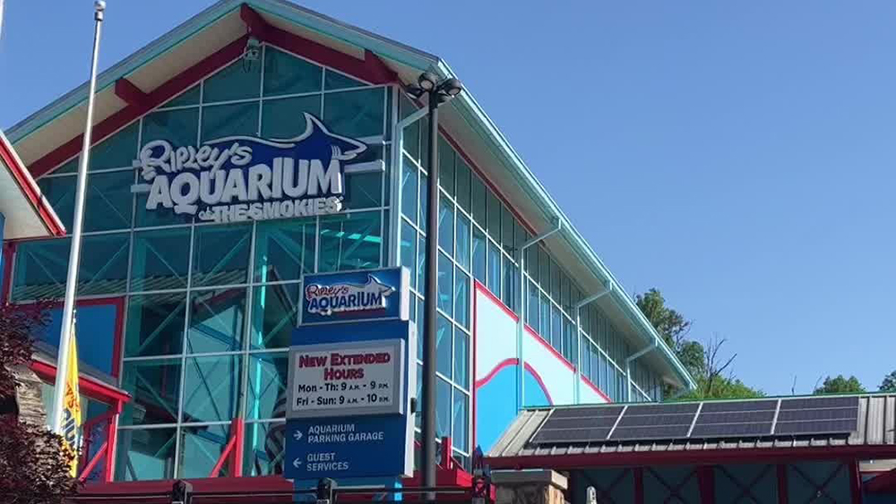 image of the front entrance to ripley's aquarium of the smokies