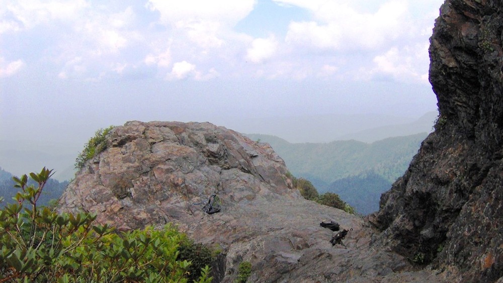 The summit of Charlie's Bunion on a cloudy day