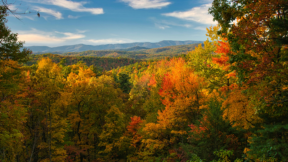 a mountain view from the woods with the leaves on the trees changing color during the fall