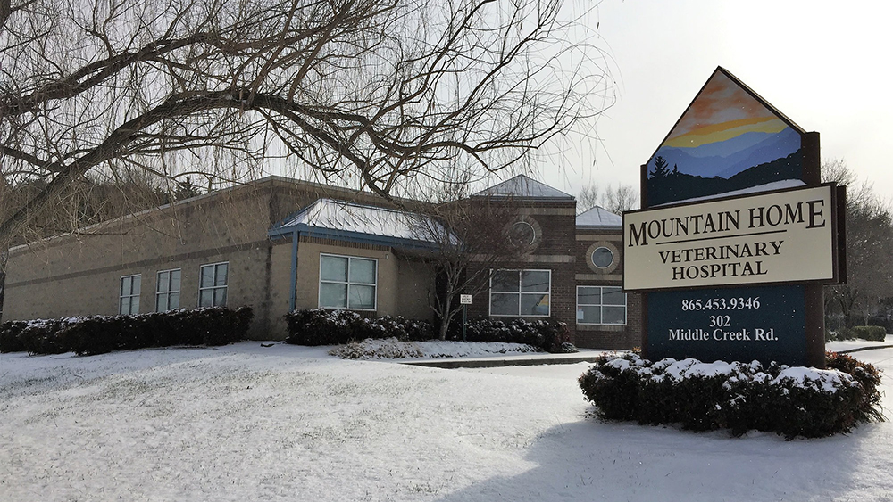 mountain home veterinary hospital entrance in townsend tn