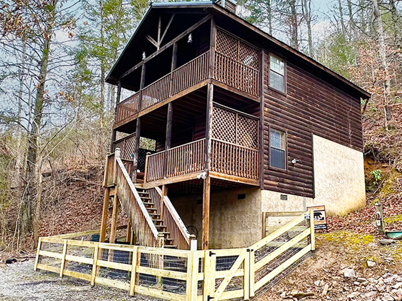 blissful tranquility fenced dog run