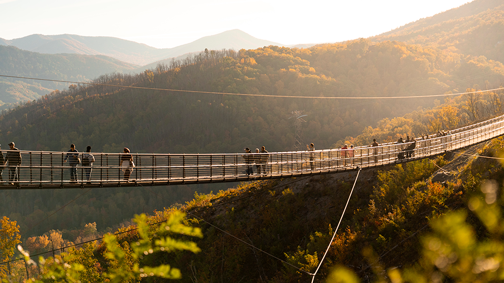 gatlinburg-skybridge-during-the-fall gatlinburg skybridge during the fall