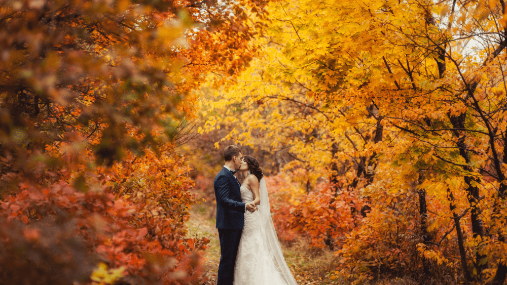 Bride and groom among vibrant fall foliage in the Smoky Mountains mountain landscape in Gatlinburg under sunny summer skies