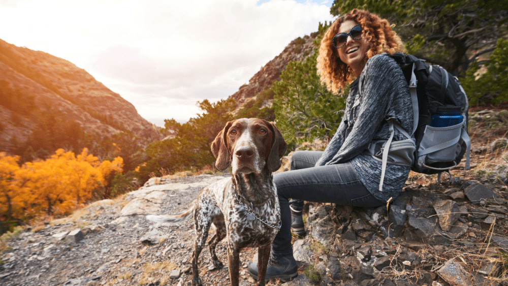 Dog with owner enjoying a hike in Gatlinburg Tennessee