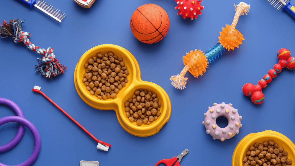 pet essentials for a trip to Gatlinburg, Tennessee