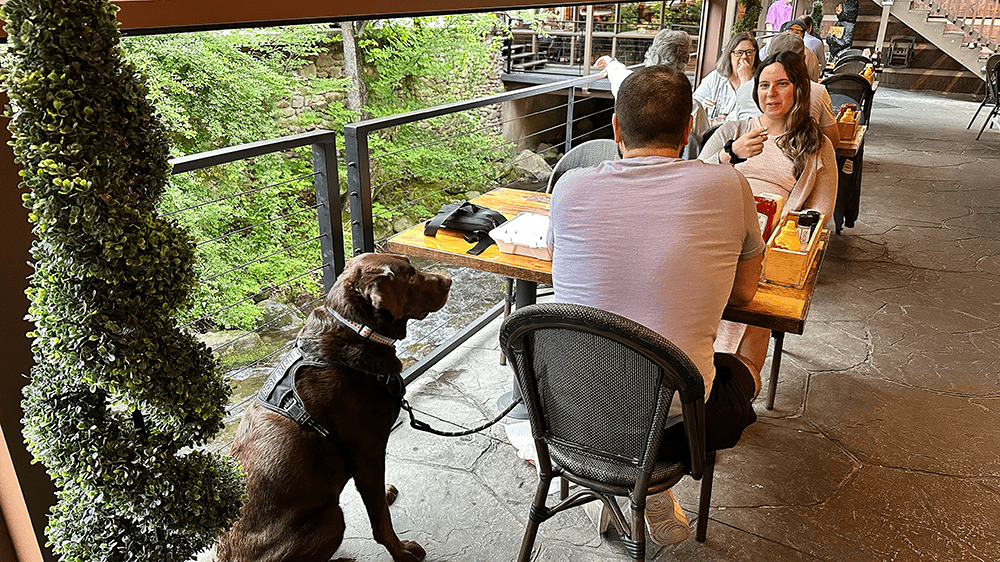 Couple dining with their dog on the outdoor patio at Howard's Restaurant in Gatlinburg, TN