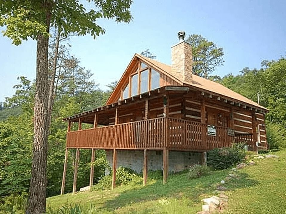 pet-friendly sevierville cabin little bear