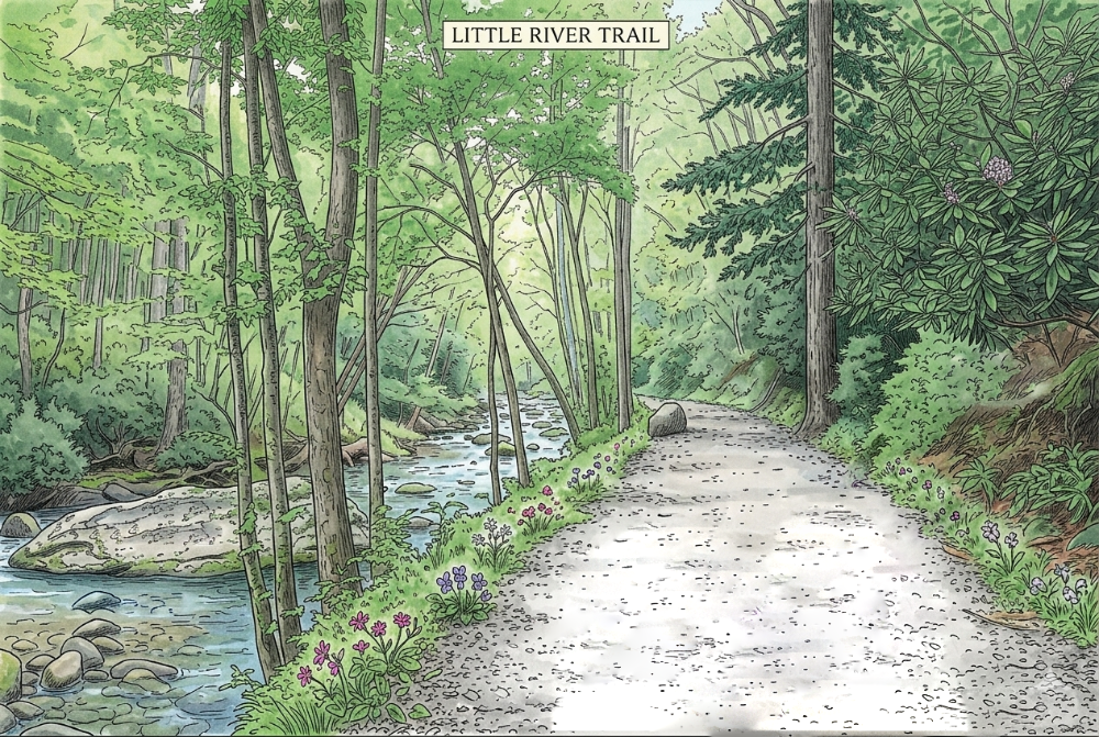 Illustration of Little River Trail with wildflowers along the bank