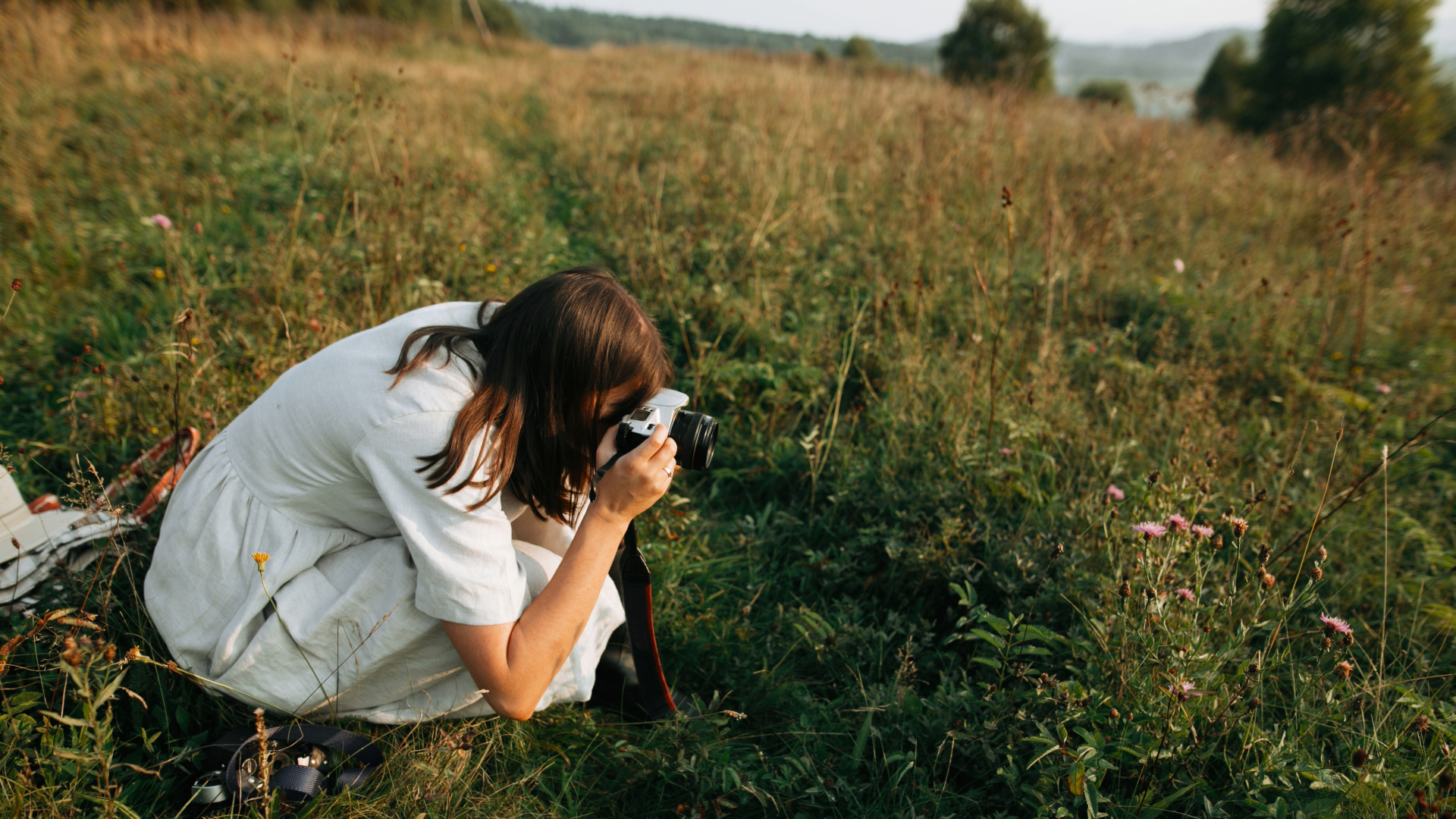 Photographer at wildflower level on a smoky mountain trail