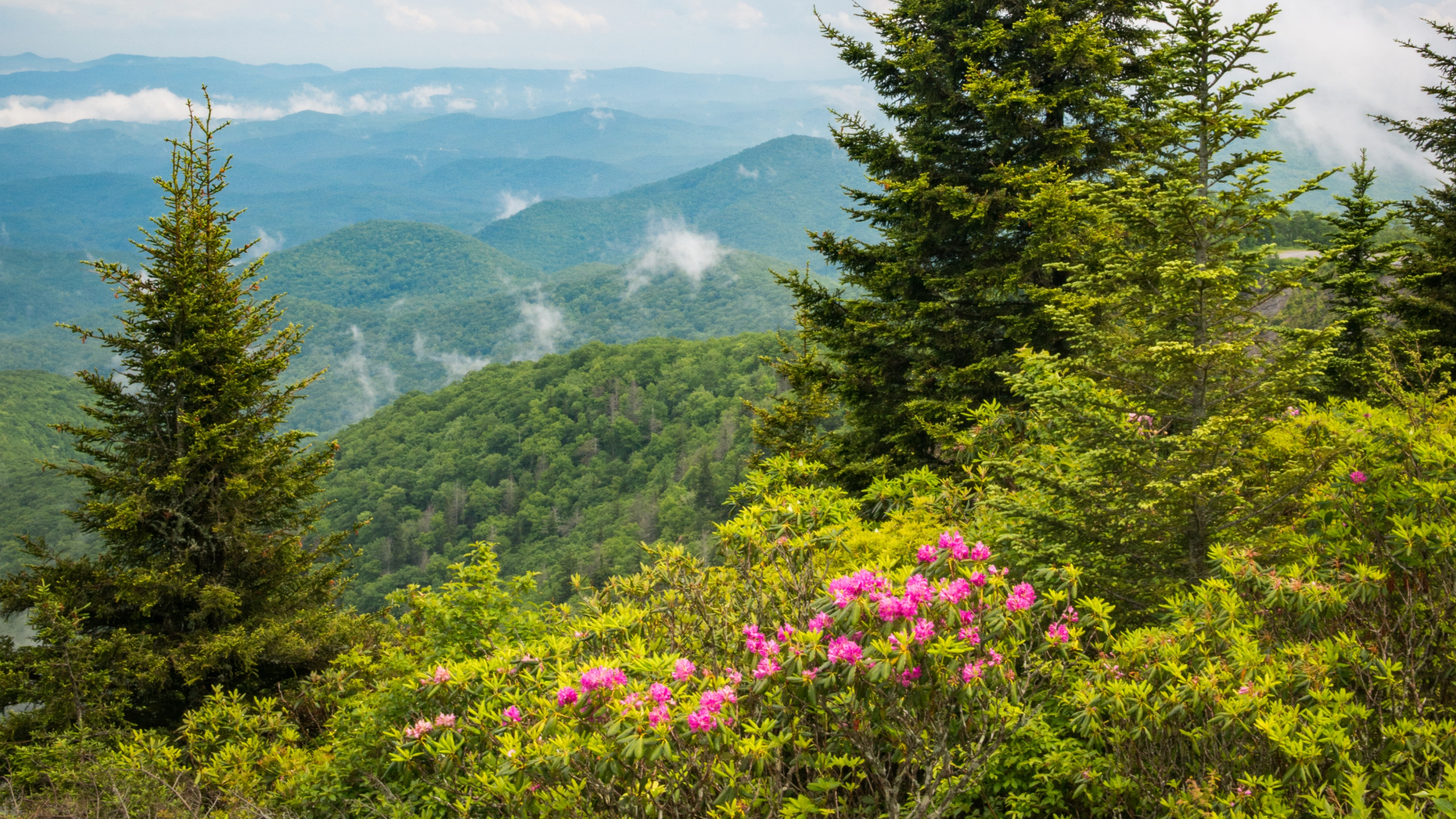Why April Is the Best Month to Visit the Smoky Mountains (Weather, Crowds & Savings)