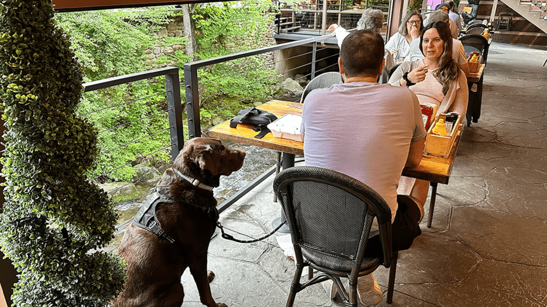 Dog sitting beside owner at a dog-friendly outdoor restaurant patio in Gatlinburg Tennessee