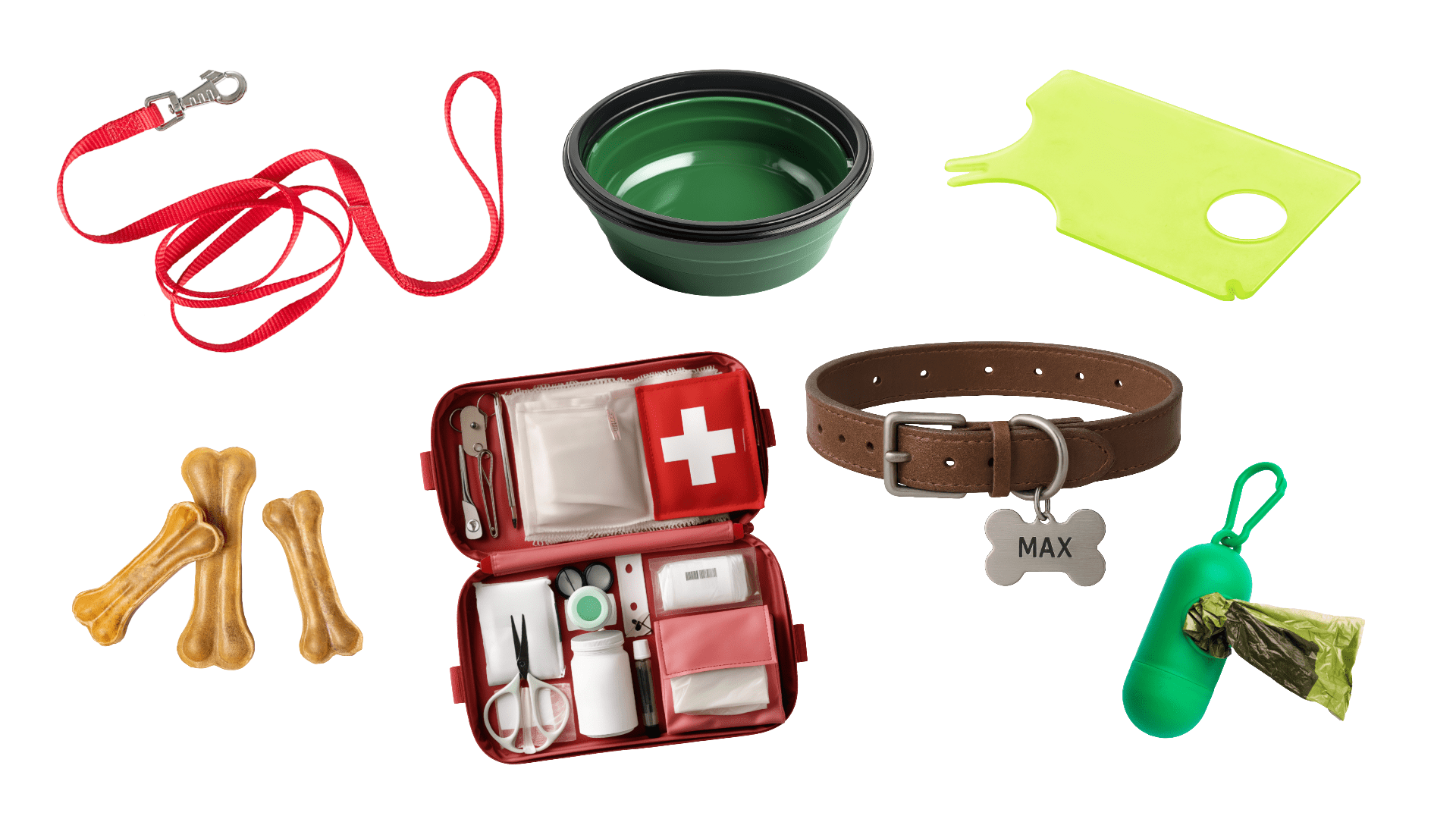 Dog travel packing essentials laid out for a Smoky Mountains cabin trip including leash treats and first aid kit