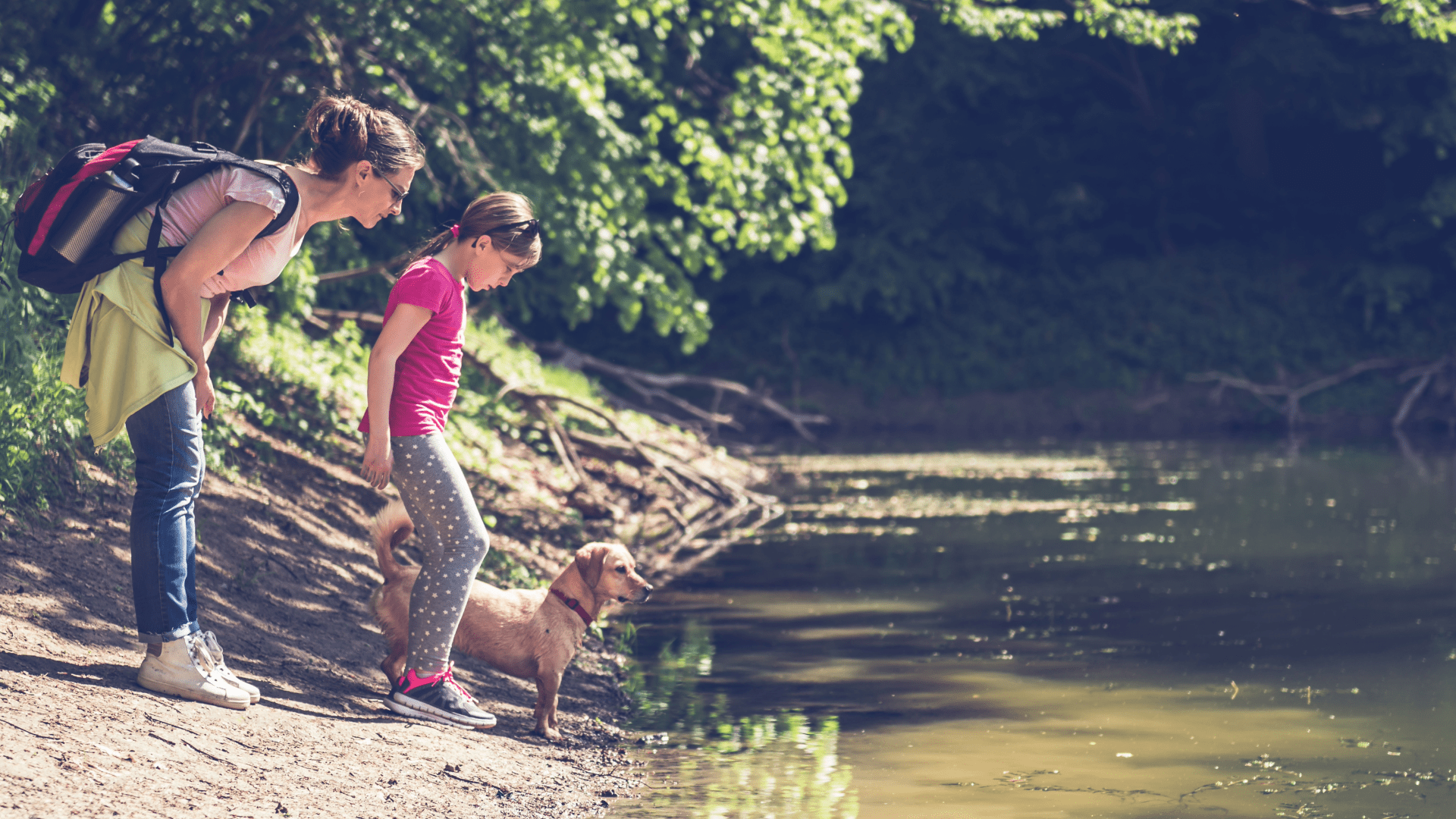 Dog on leash with owner on the Gatlinburg Trail in Great Smoky Mountains National Park