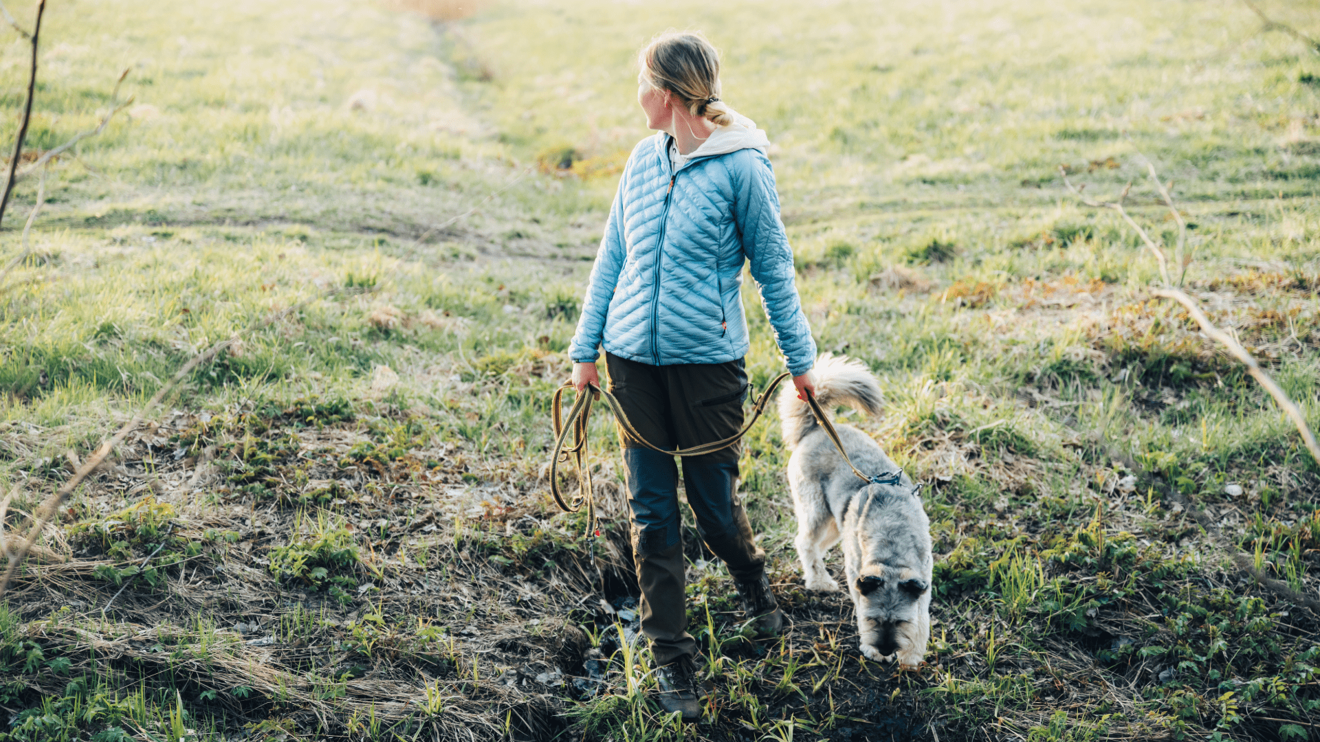 Dog on leash near wildlife area with owner scanning around a Smoky Mountains field