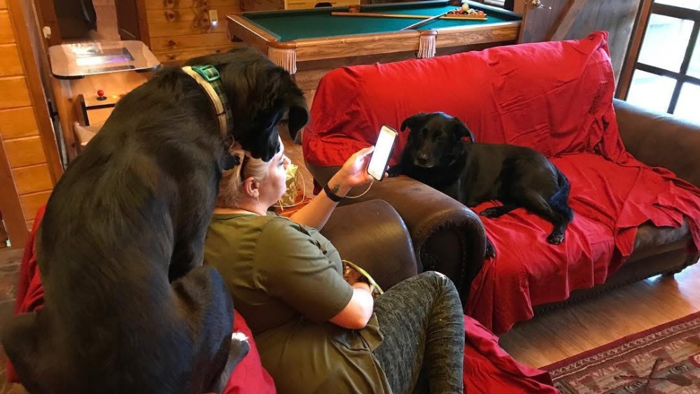 angie at hapey place with her dogs