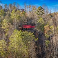 Hapey-Place-overhead-view-in-trees