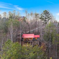 Hapey-Place-overhead-view-of-back-in-woods