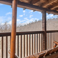 View from porch swing at Little Bear Cabin
