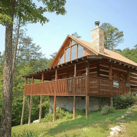 dog friendly sevierville cabin little bear